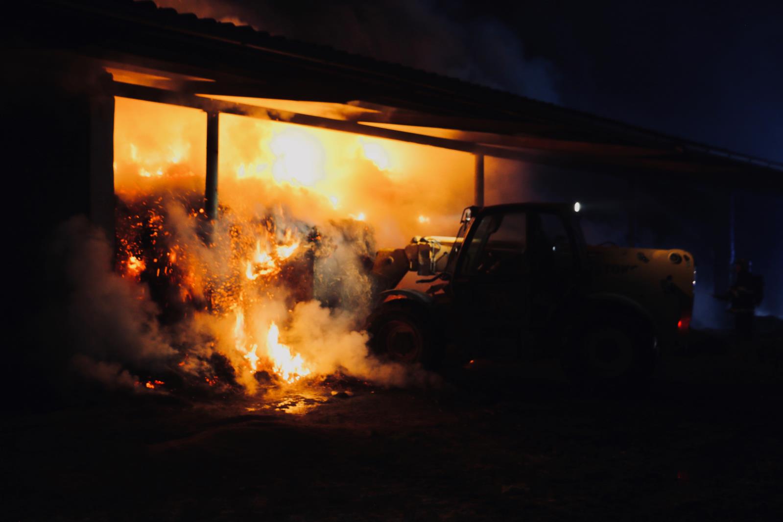 P_ZO_Starnov_4_1_2019