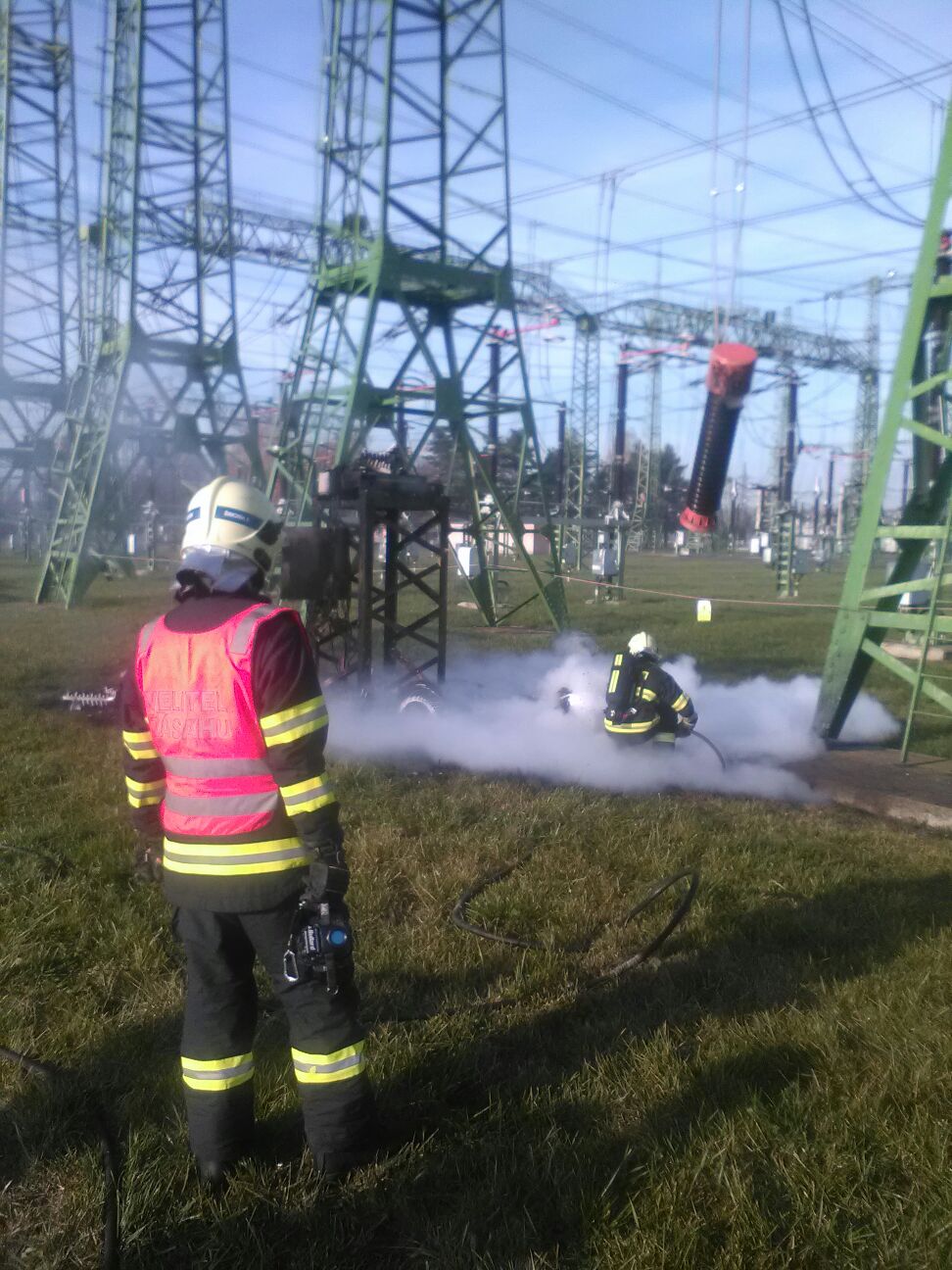 P_prosenice_4-11-2016