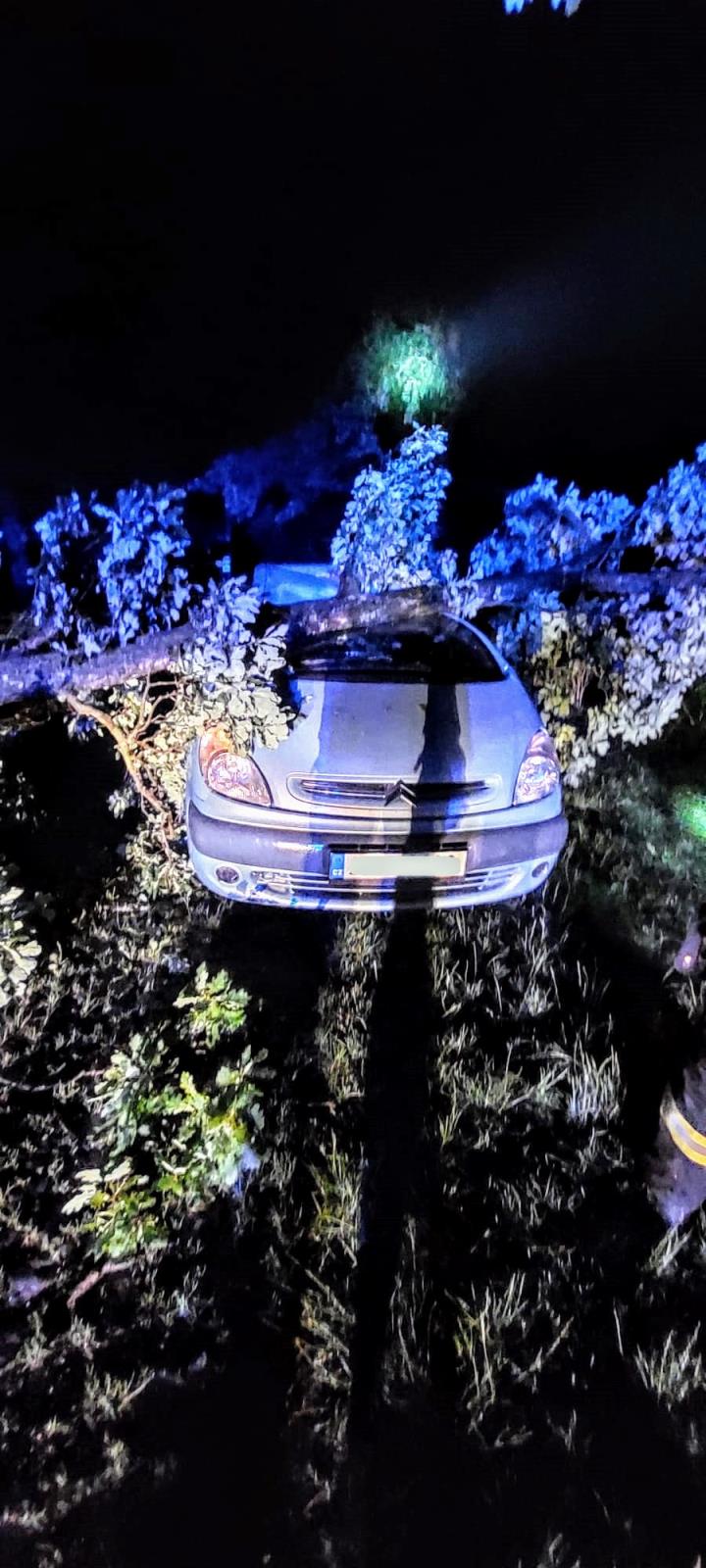 Planá nad Lužnicí (2).jpg