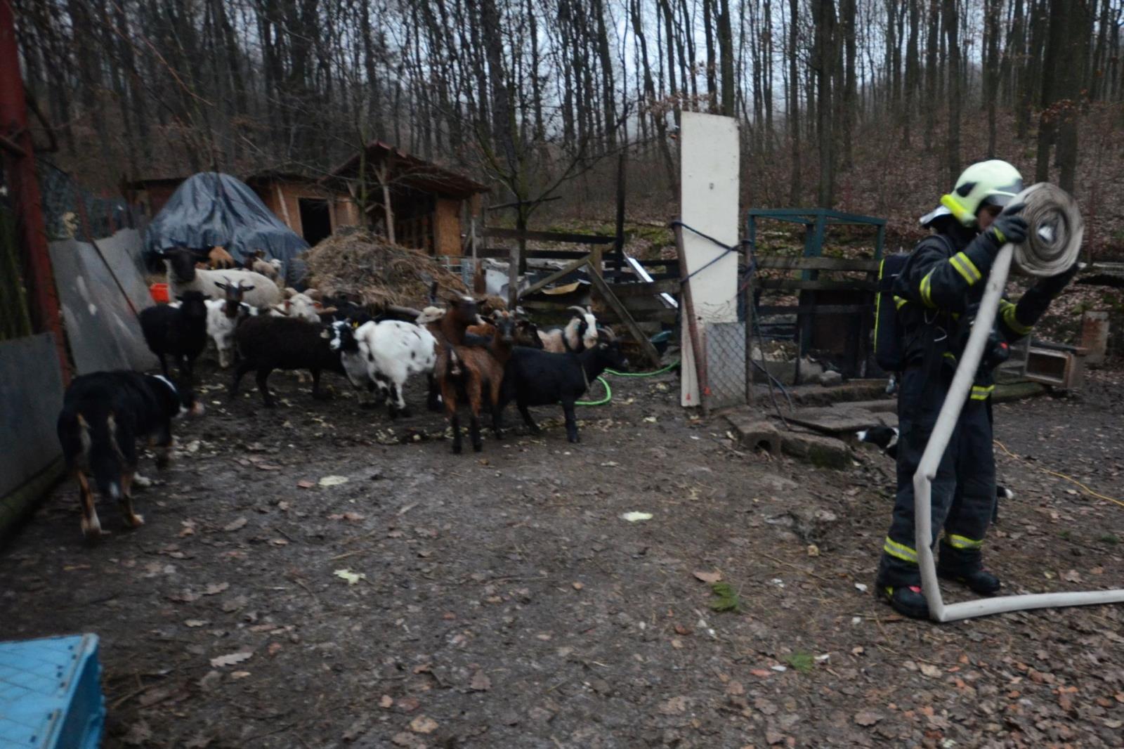 Požár Hlinná (1).JPG