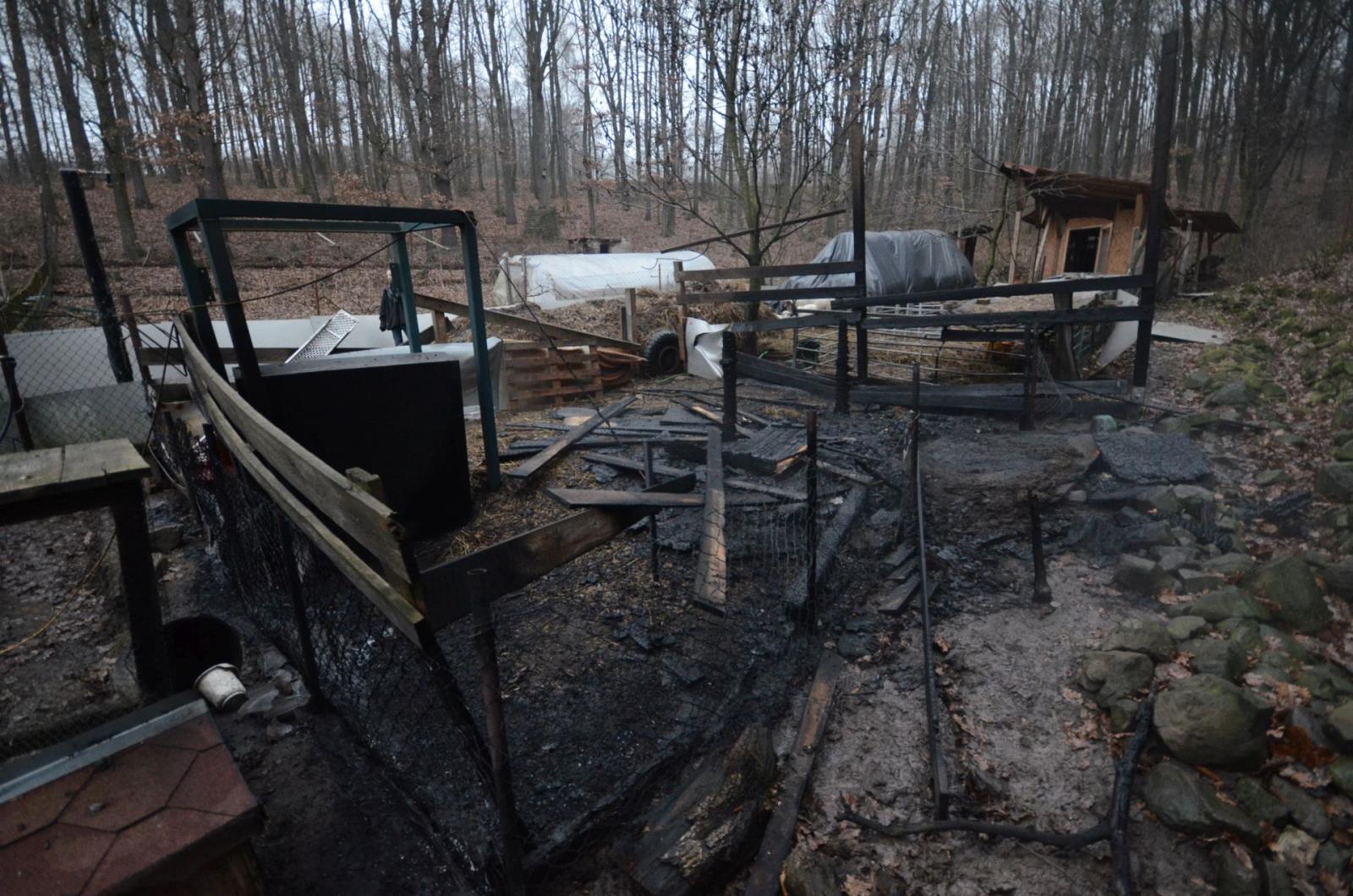 Požár Hlinná (2).JPG