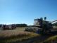 Požár kombajnu a pole, Zlukov - 8. 8. 2016 (5)