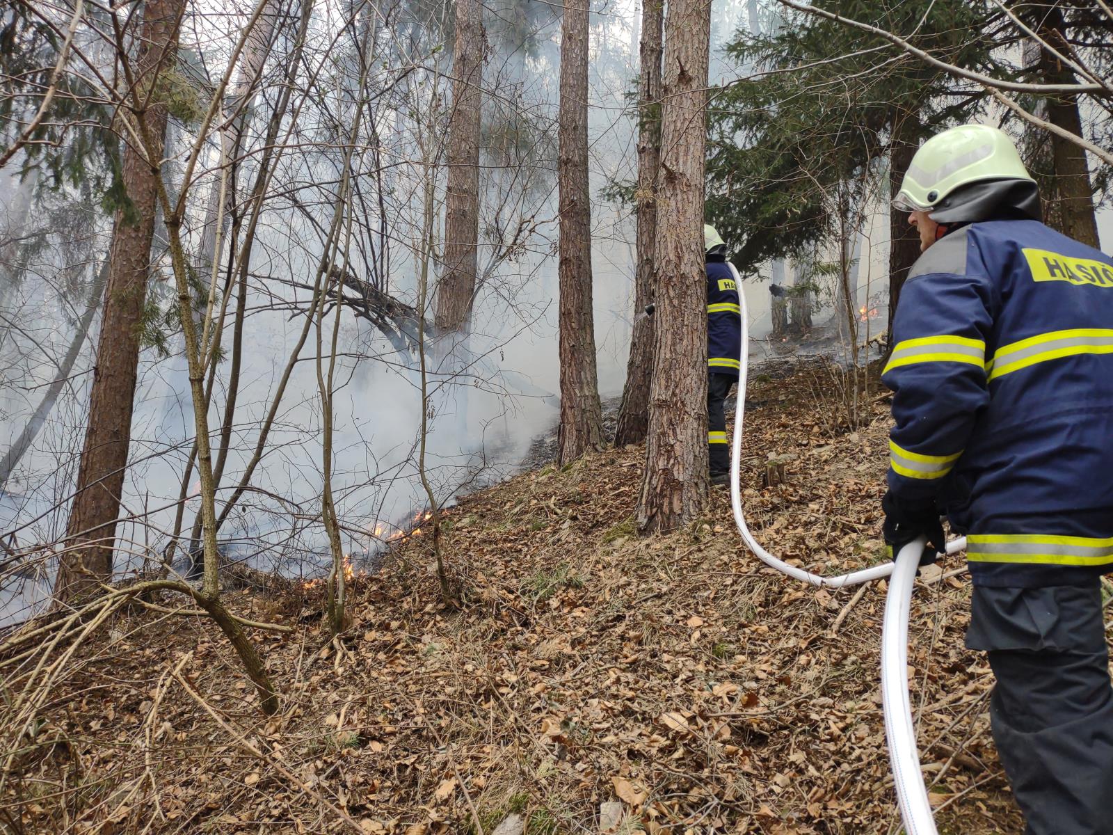 Požár lesa, Kroclov - 29. 3. 2022 (2).jpg