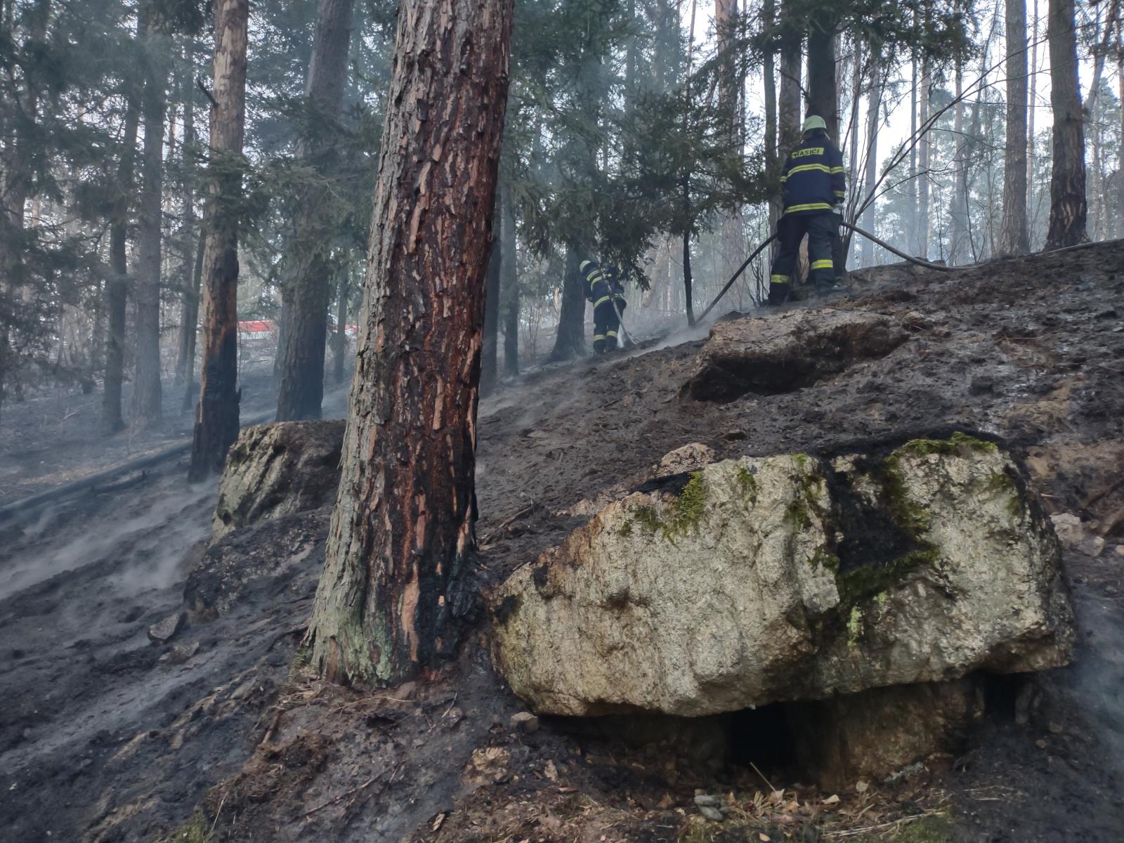 Požár lesa, Kroclov - 29. 3. 2022 (5).jpg