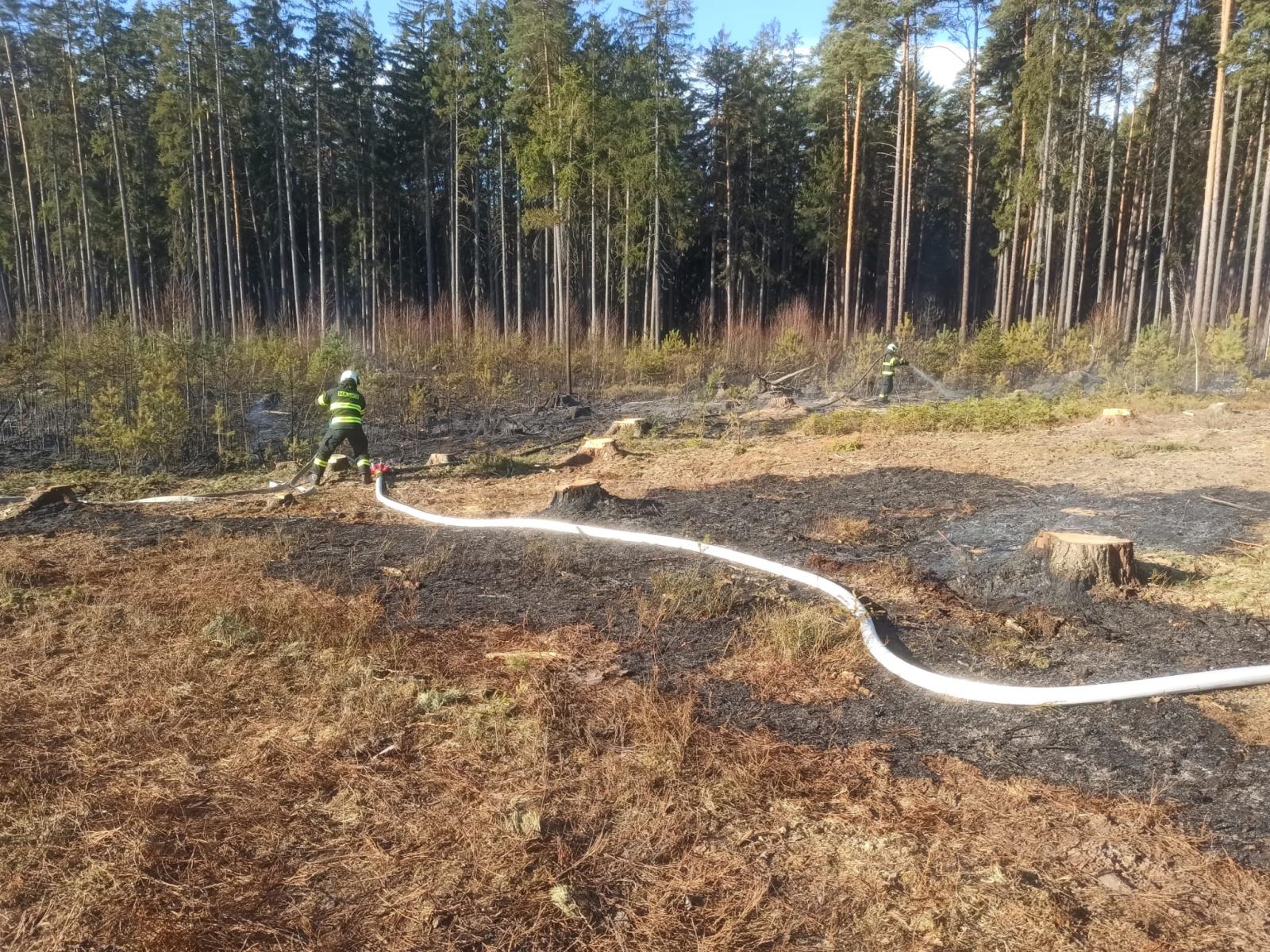 Požár lesa, Lišov - 13. 3. 2022 (2).jpg