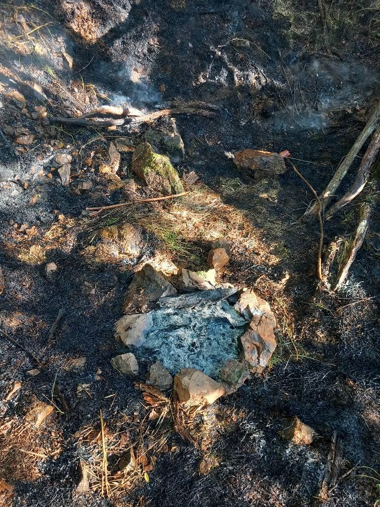 Požár lesa (1).jpeg