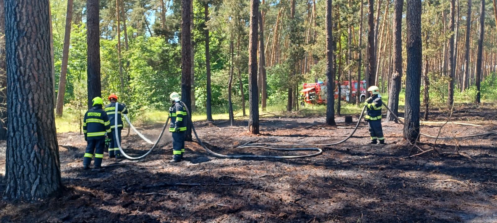 Požár lesa (12).jpg