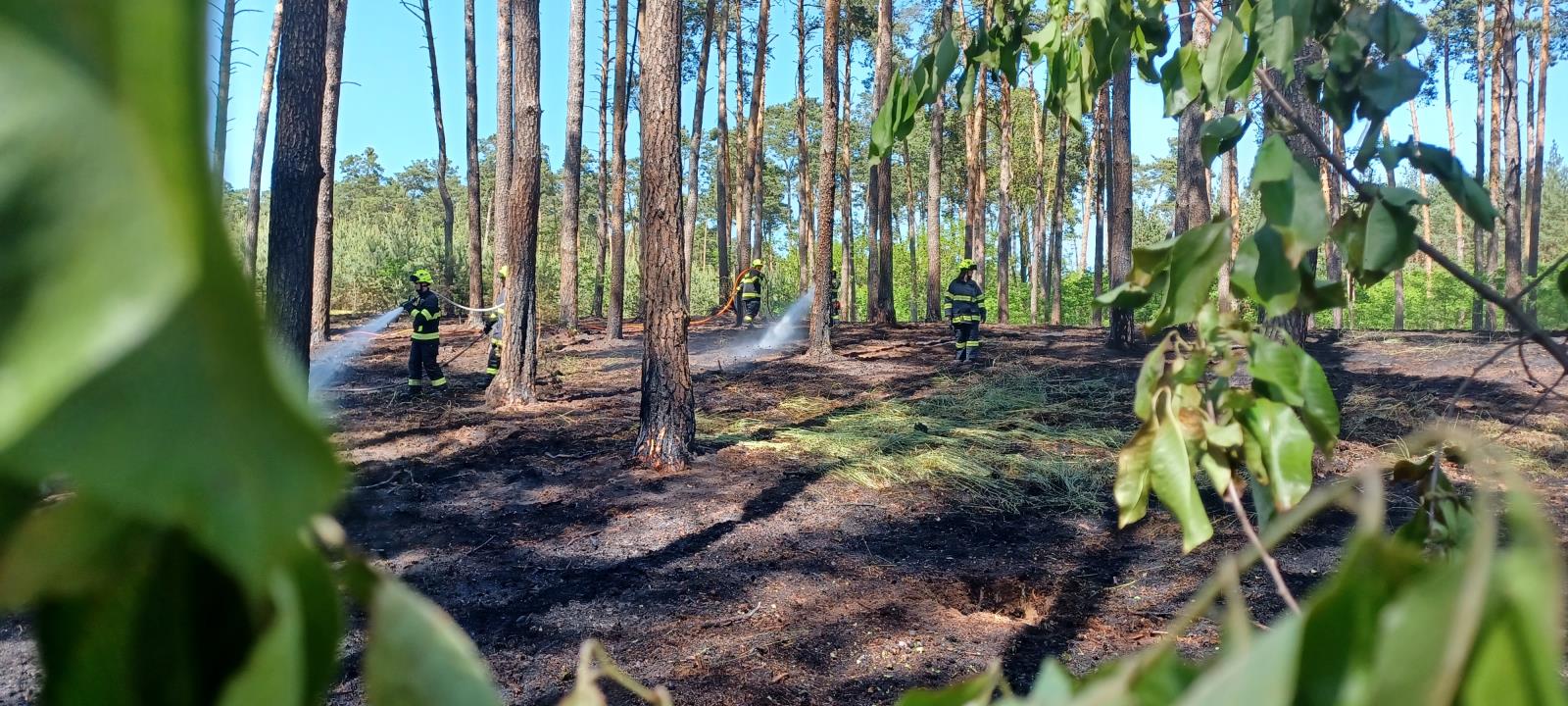 Požár lesa (13).jpg