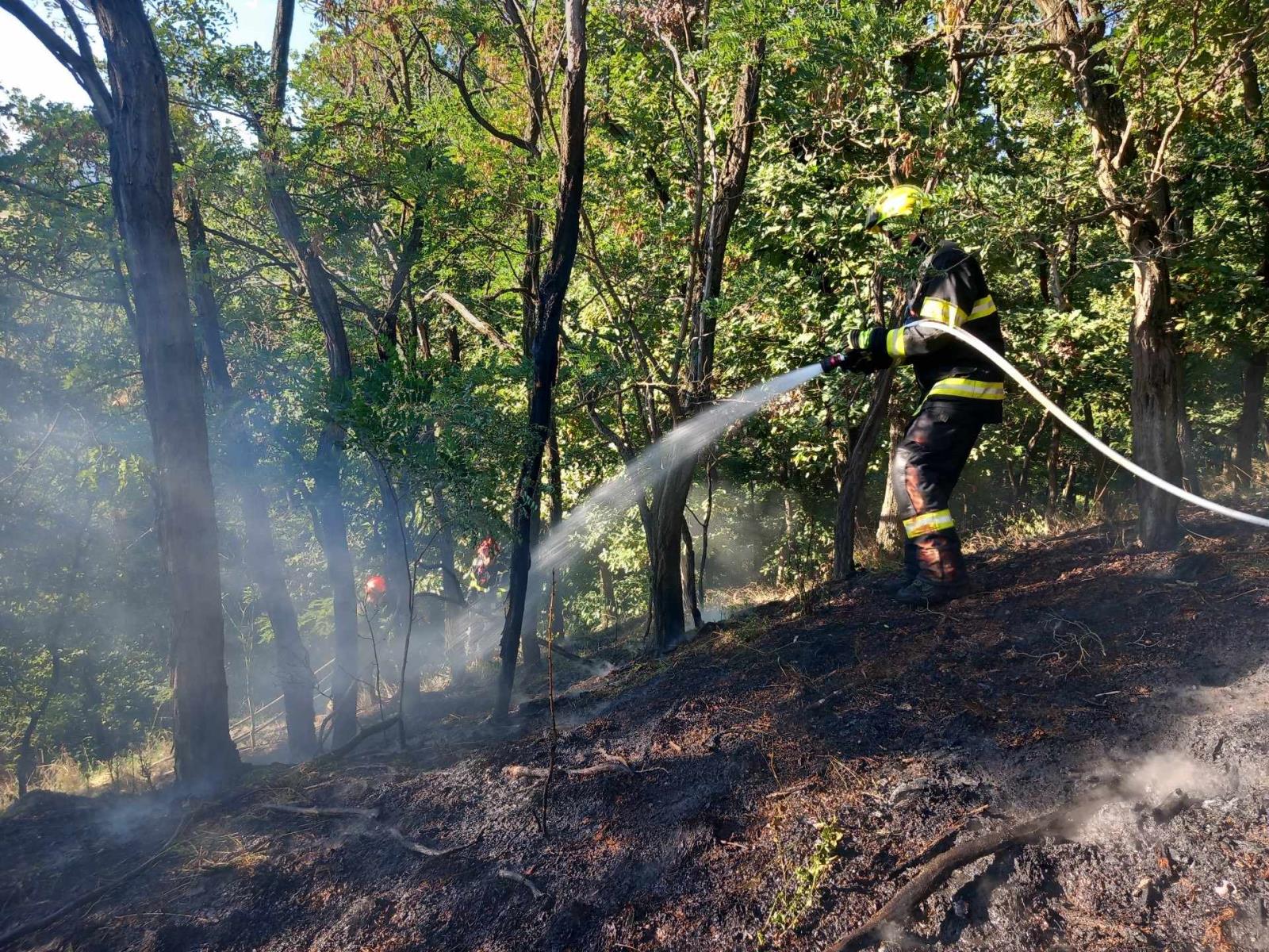 Požár lesa (2).jpeg