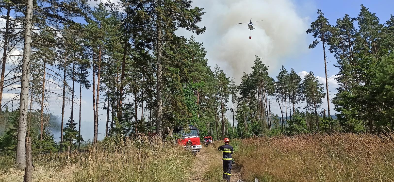 Požár lesa (22).jpg