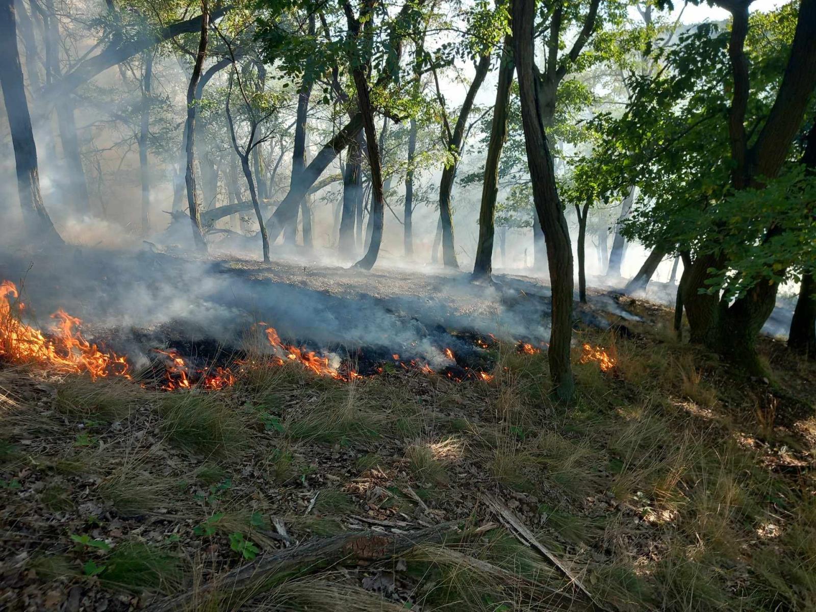 Požár lesa (3).jpeg