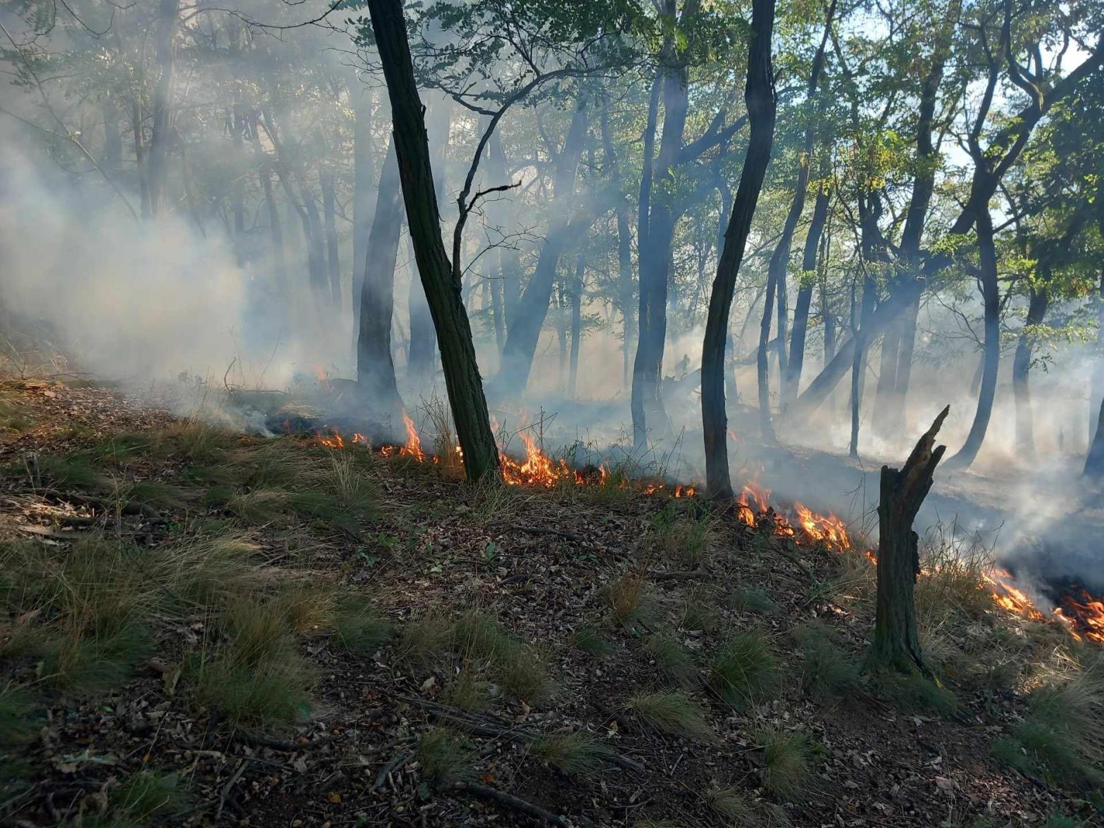 Požár lesa (7).jpeg