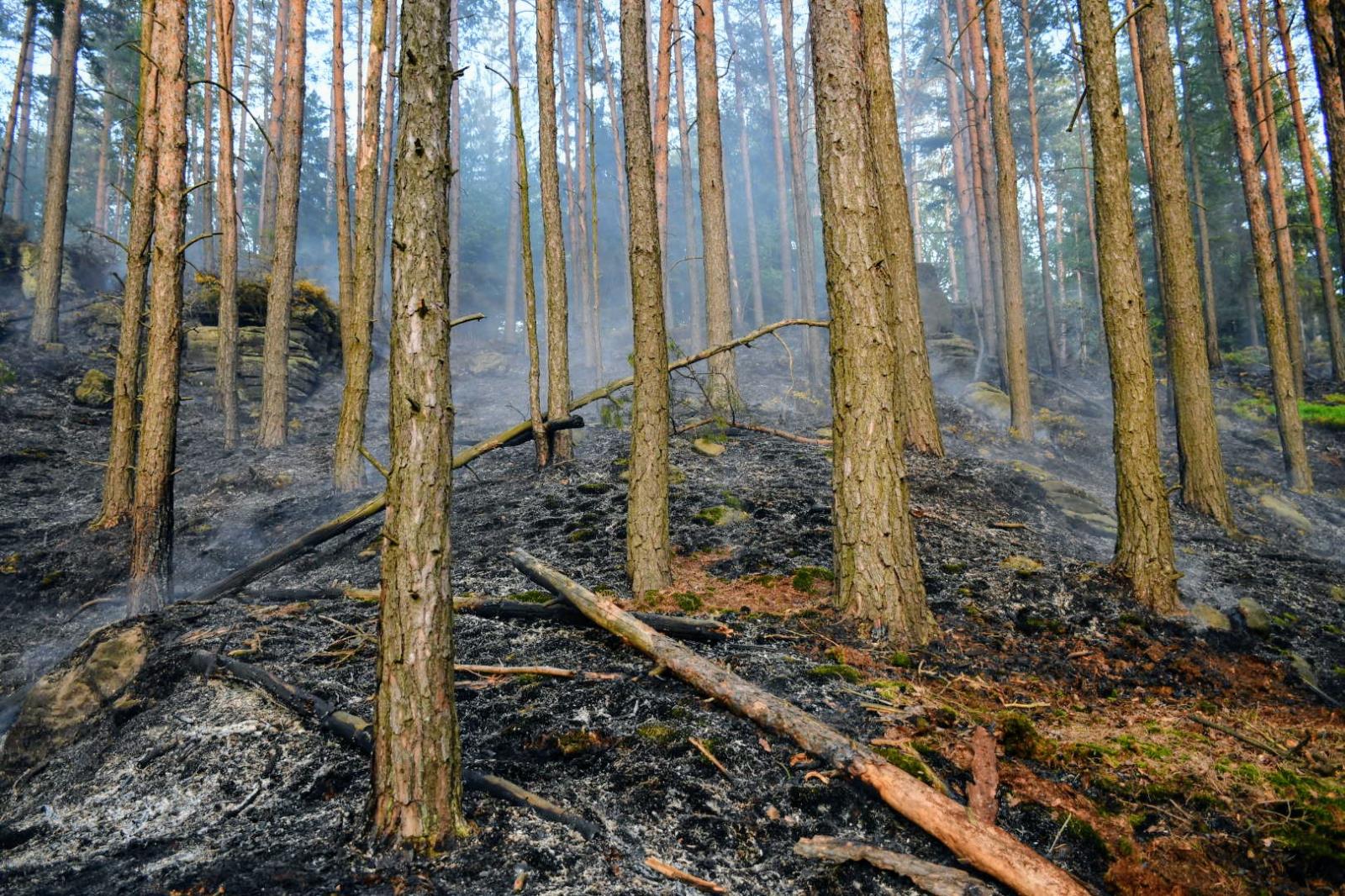 Požár lesa Děčín (5).JPG