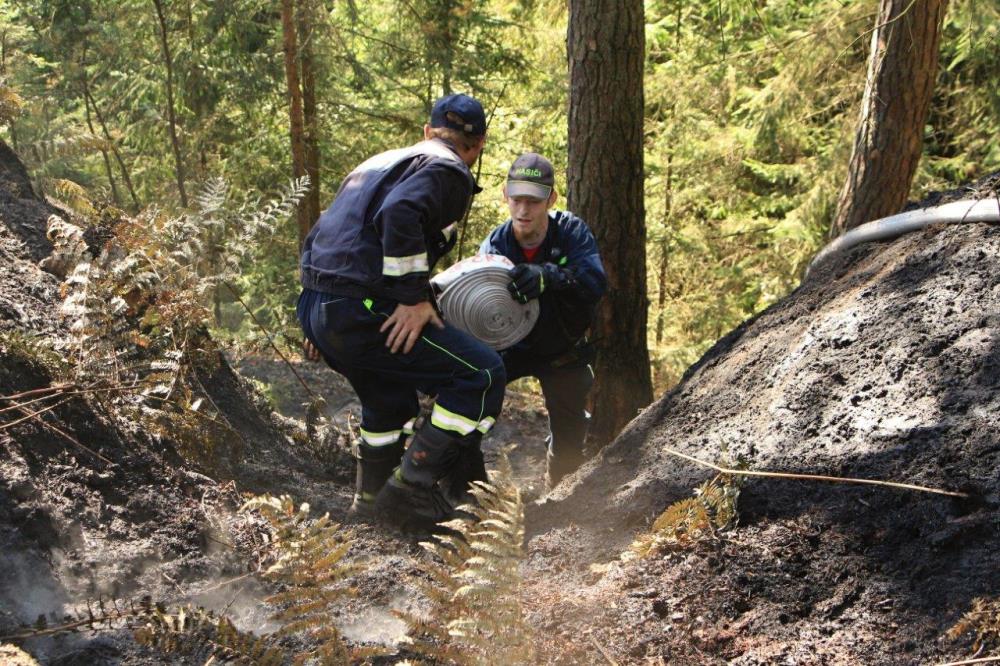Požár lesního podloží Vysoká Lípa (4).jpg
