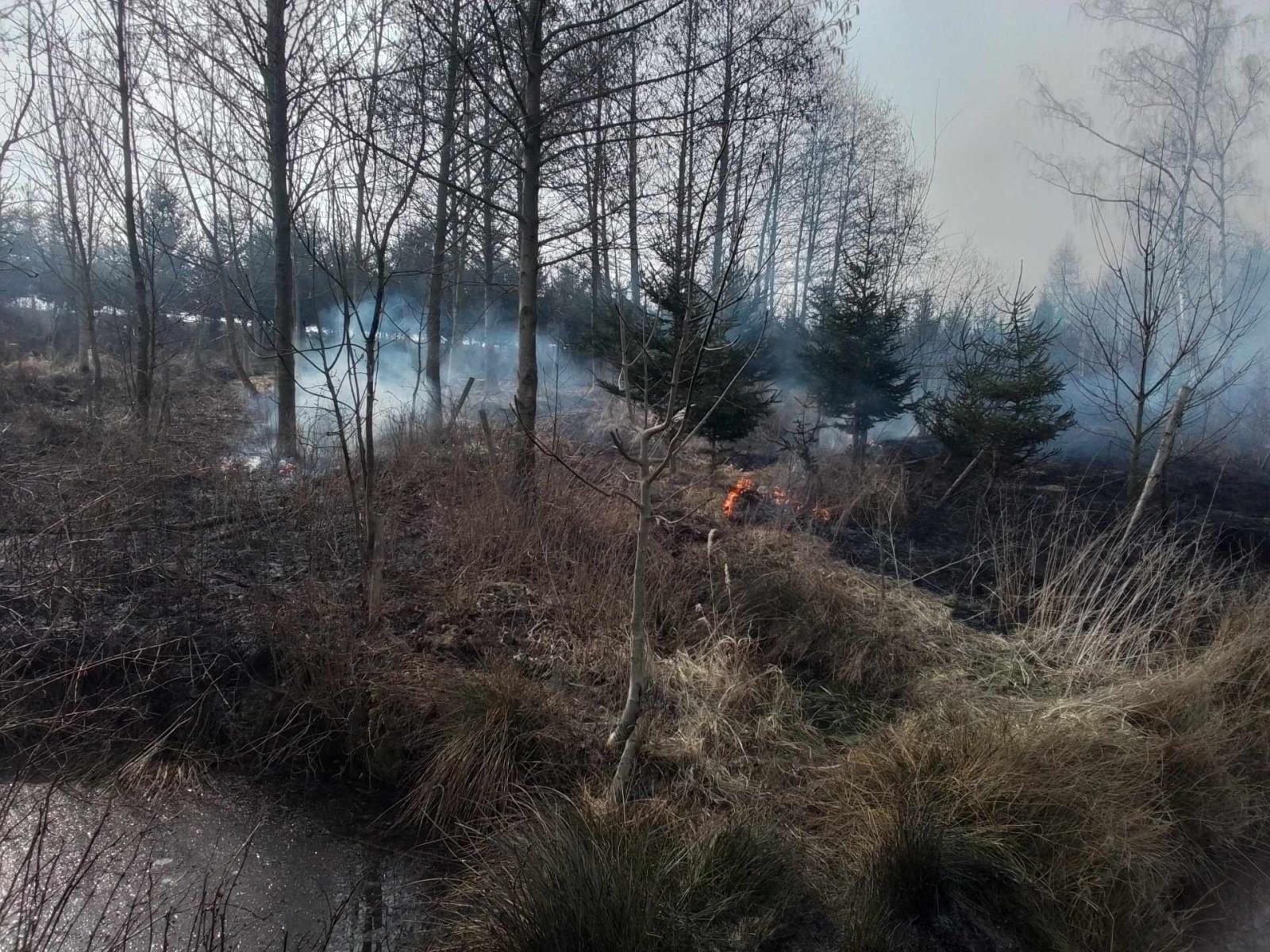 Požár lesního porostu u obce Olešenka