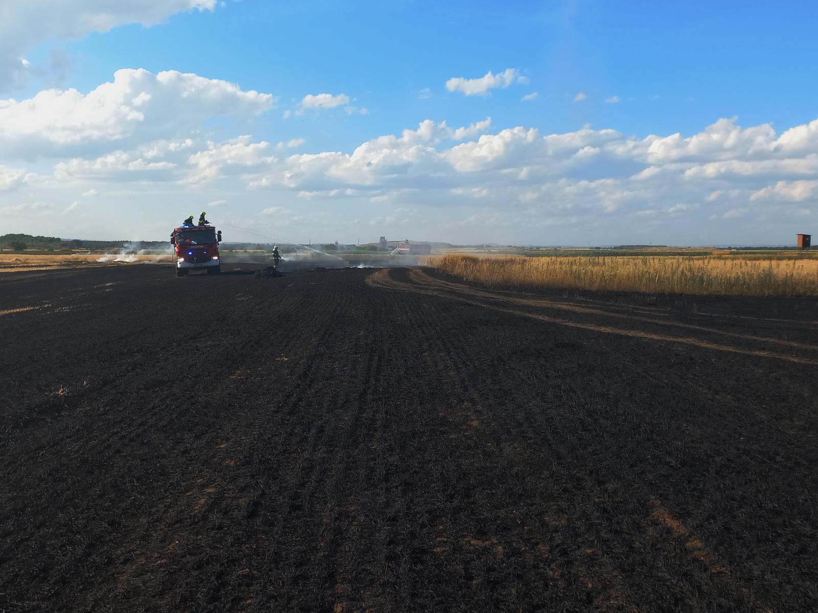 Požár pole (15).jpg