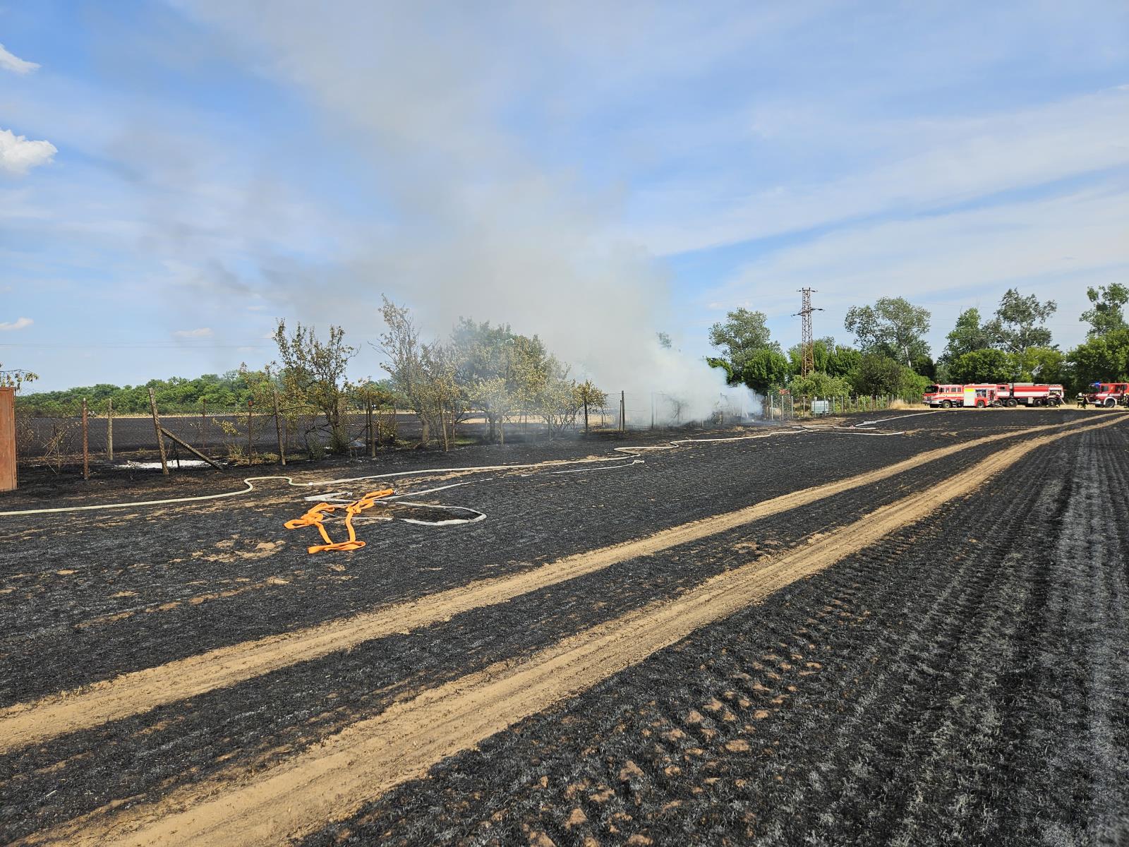 Požár pole Hodonín (13).jpg