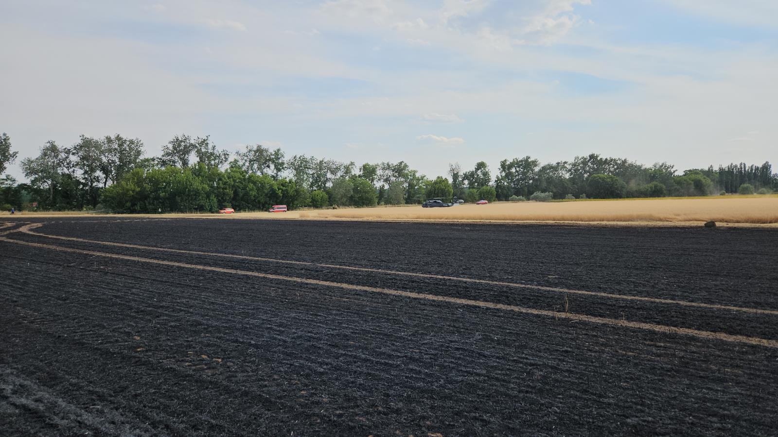 Požár pole Hodonín (18).jpg