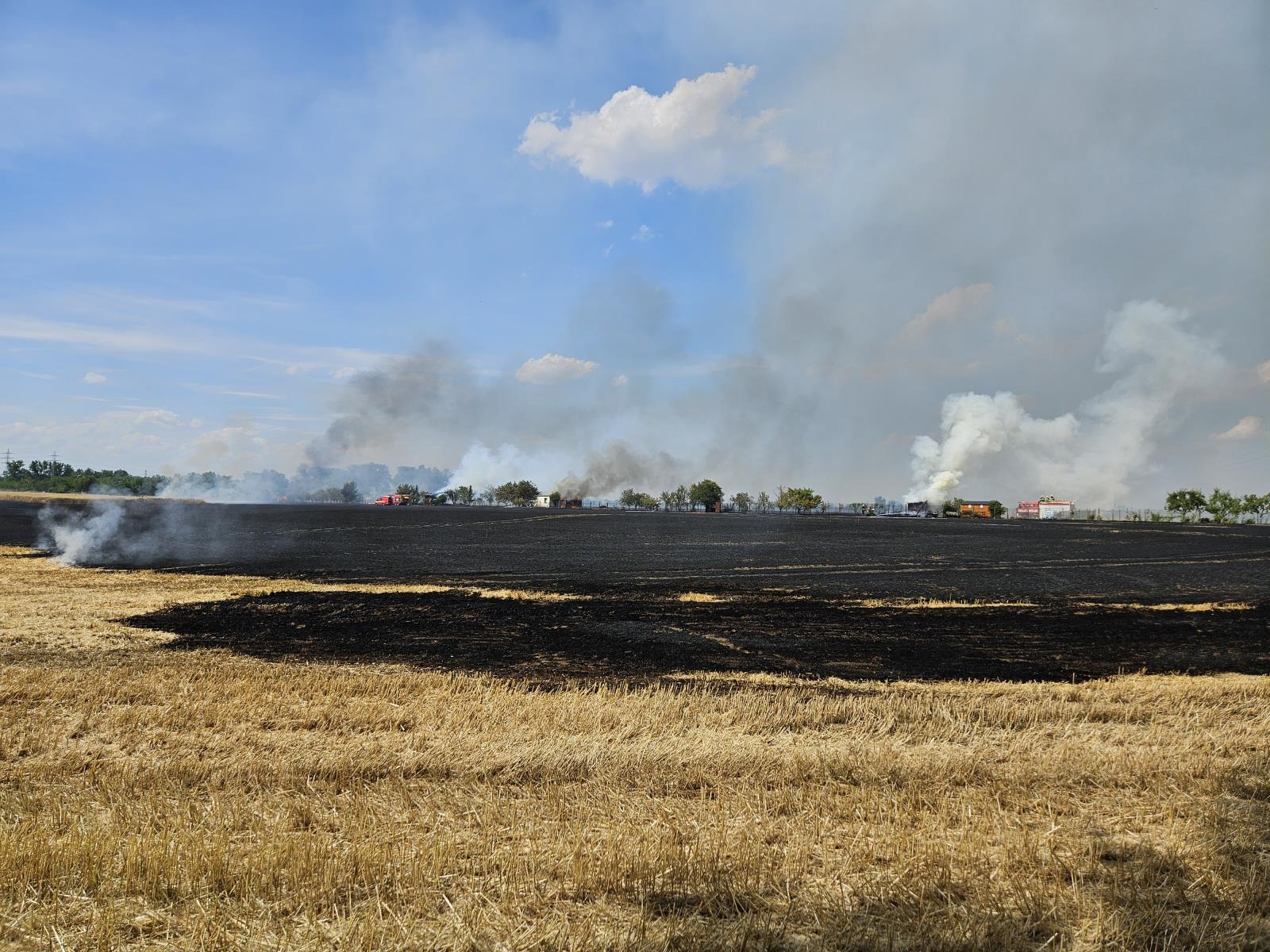 Požár pole Hodonín (7).jpg