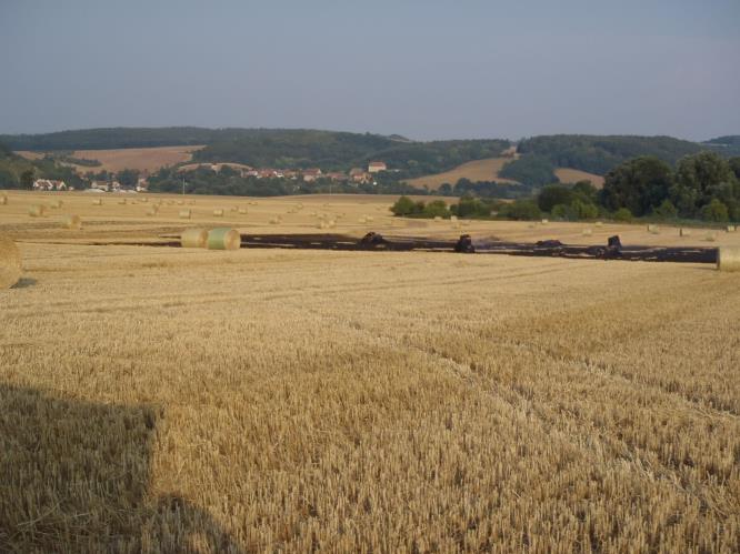 Požár pole Liběšovice (3).JPG