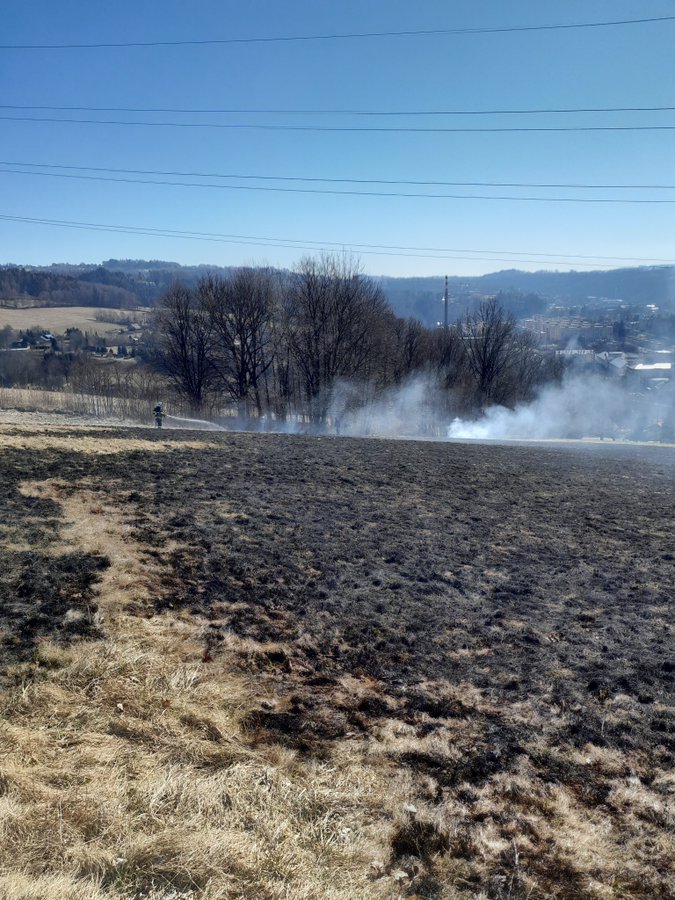 Požár v přírodním prostředí_Liberecký kraj.jpg