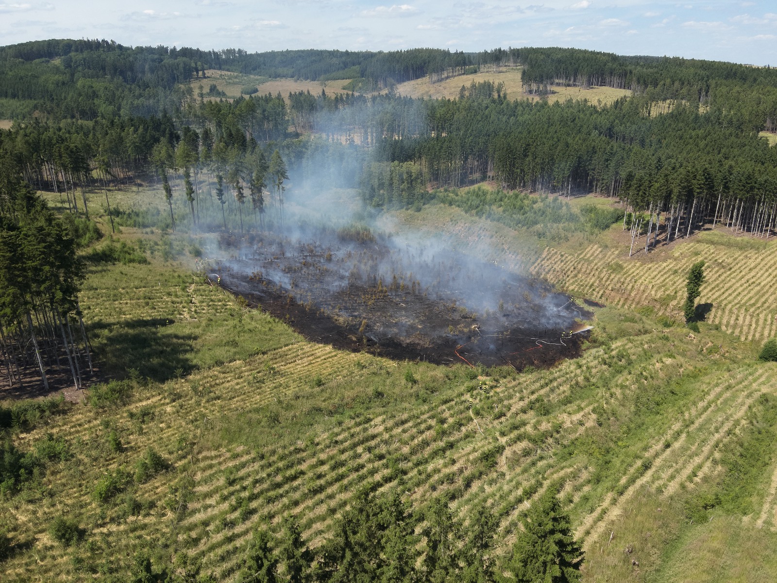 Požár_lesa_Rohozec (2).jpeg