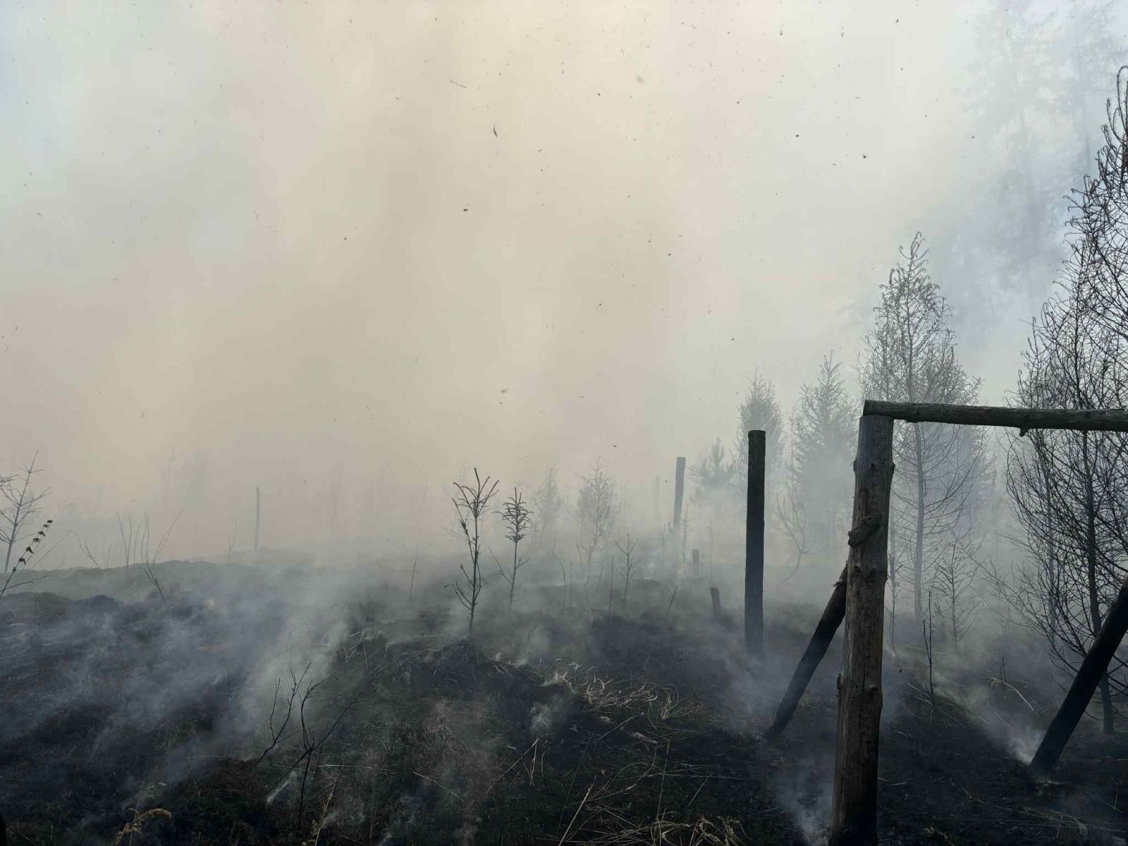 Požár_lesa_Rohozec (3).jpeg