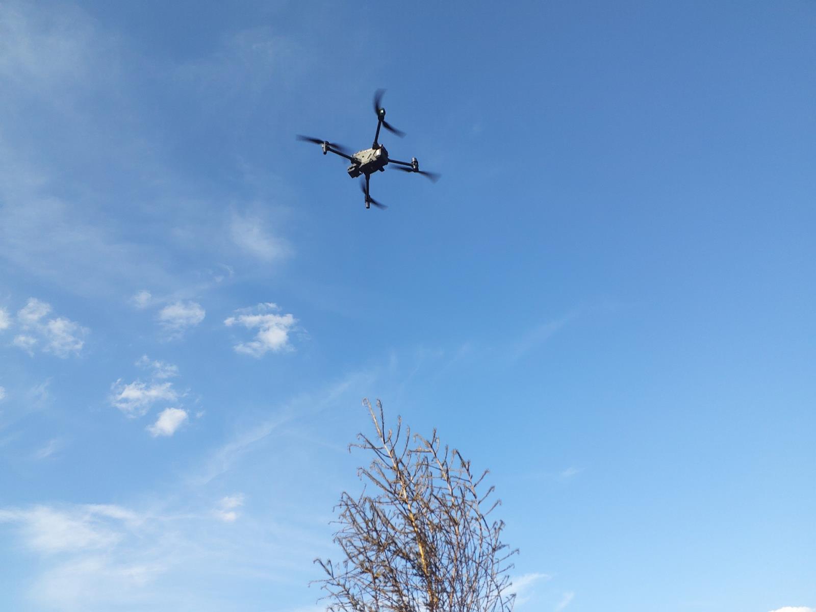 Požár_lesa_Rohozec (3).jpg