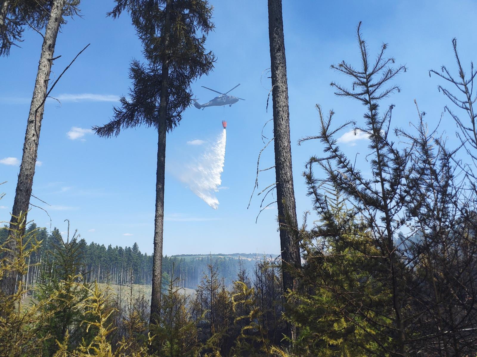Požár_lesa_Rohozec (4).jpg