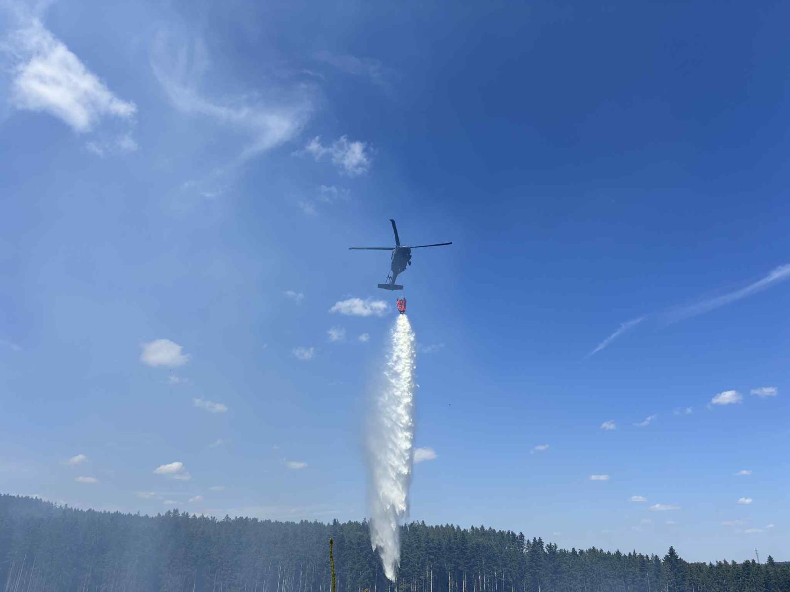 Požár_lesa_Rohozec (5).jpeg