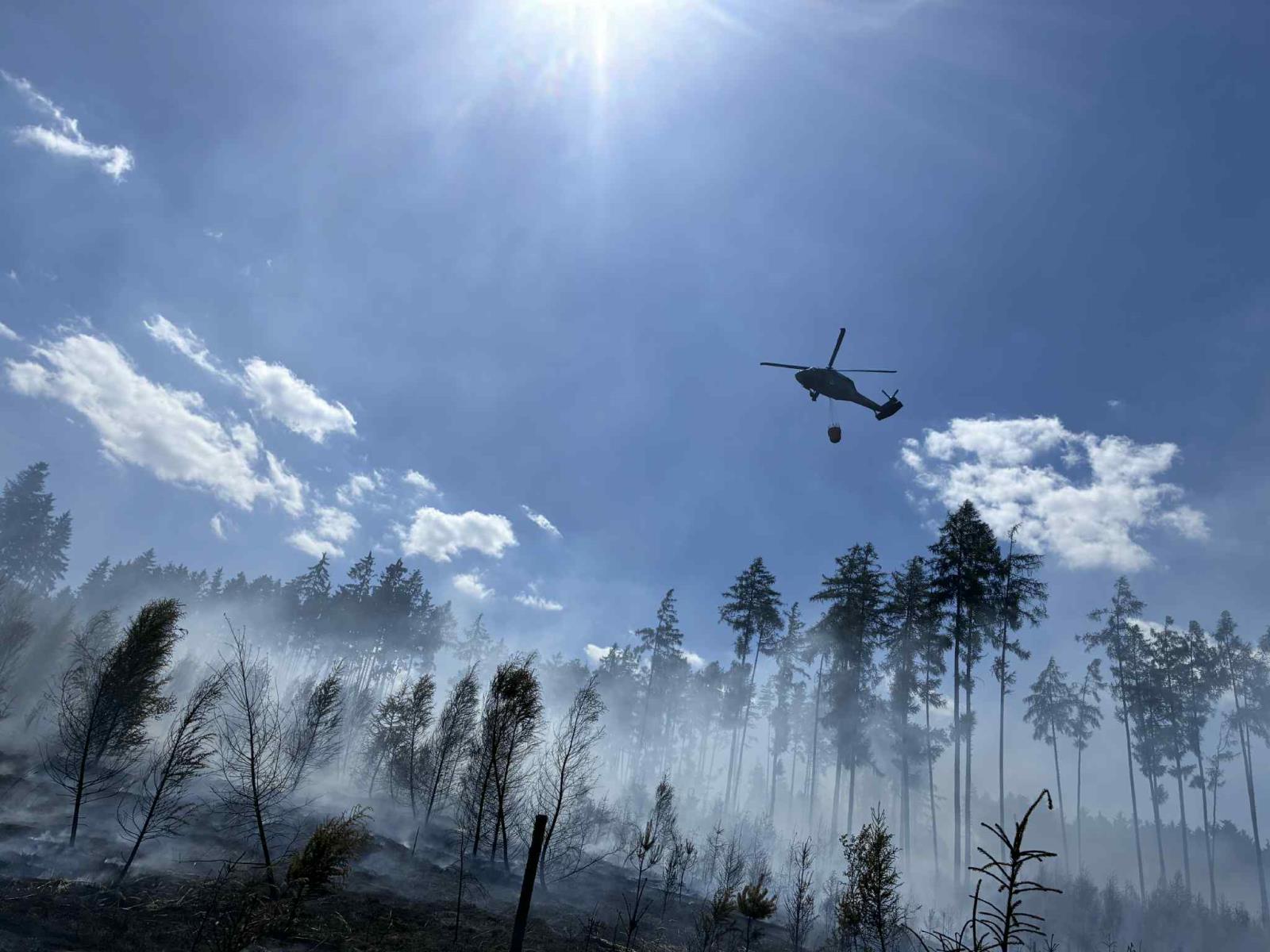 Požár_lesa_Rohozec (6).jpeg