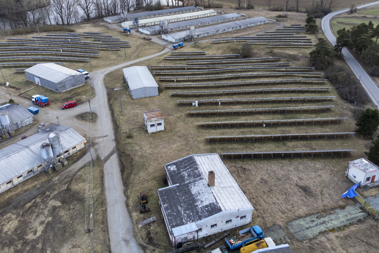 Práce dokumentaristů_Ptačí chřipka_002.jpg