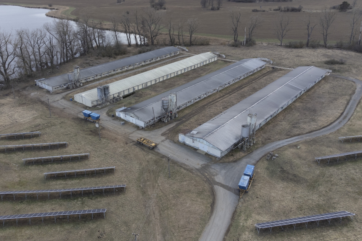 Práce dokumentaristů_Ptačí chřipka_006.jpg