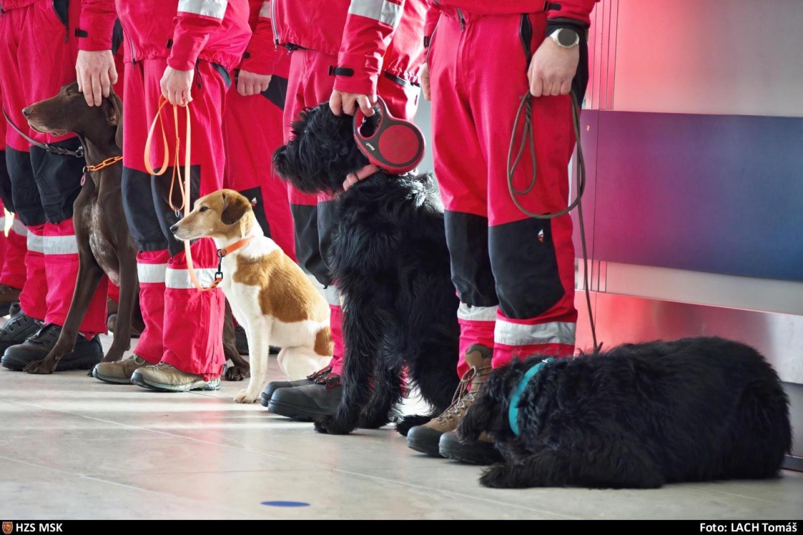 Psí členové USAR týmu.jpg
