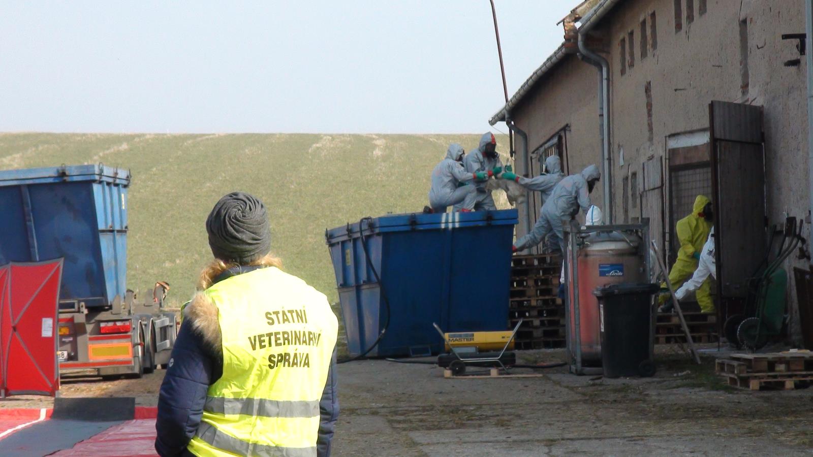 Ptačí chřipka - dokumentace_3