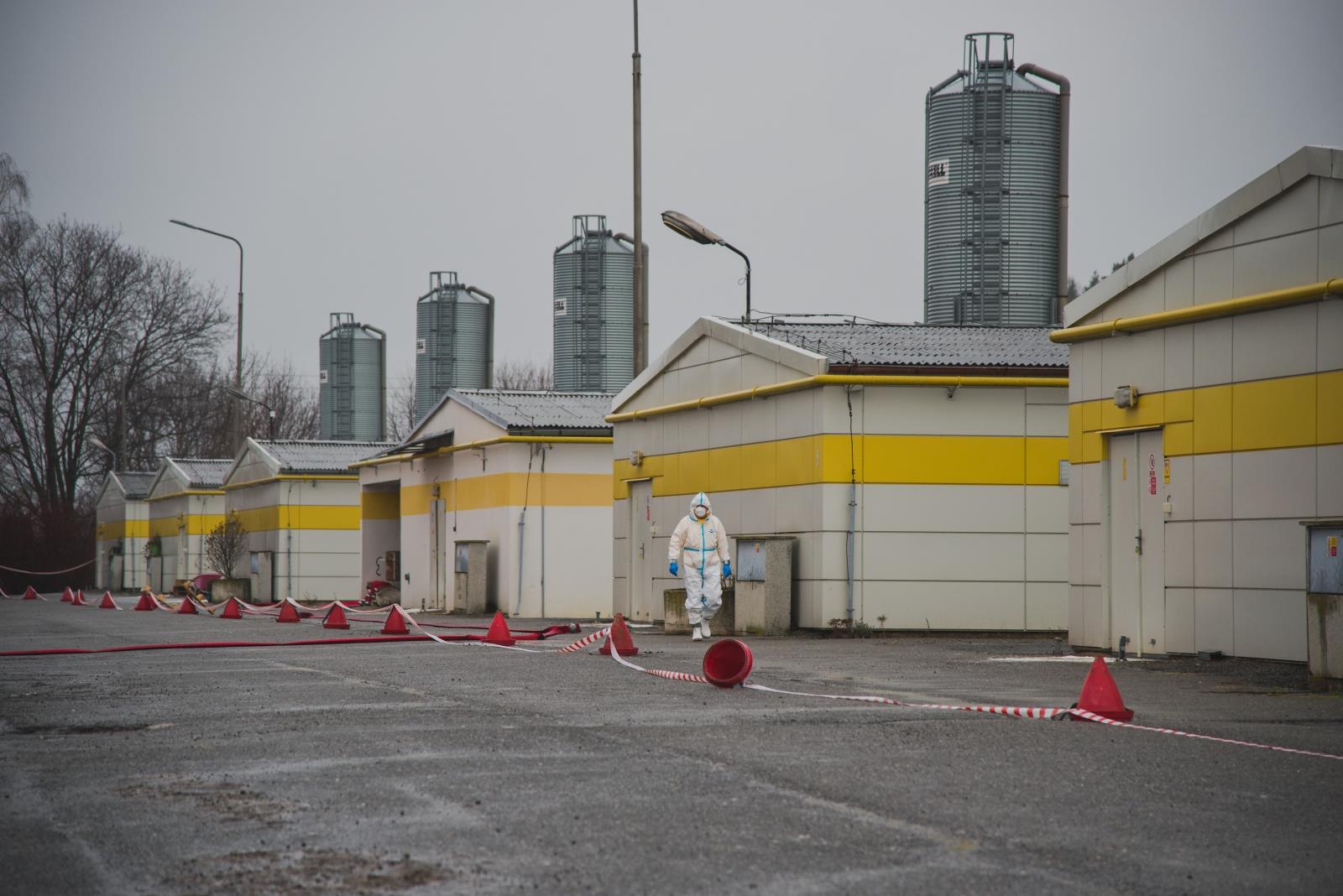 Ptačí chřipka - Kosořín