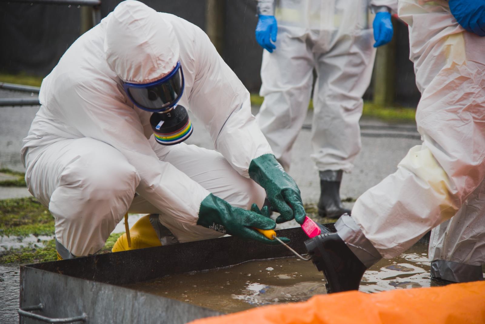 Ptačí chřipka - Kosořín