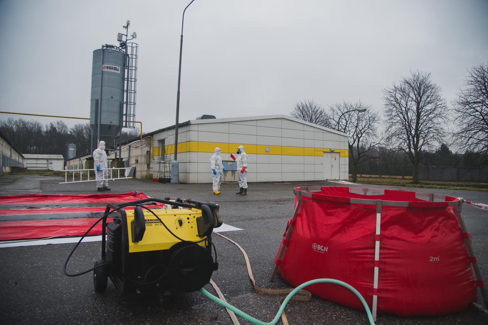 Ptačí chřipka - Kosořín