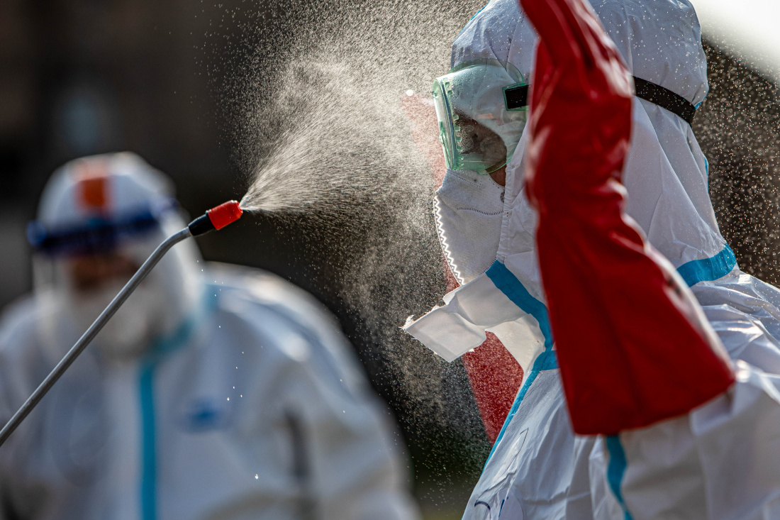 Ptačí chřipka Nové Město (11).jpg