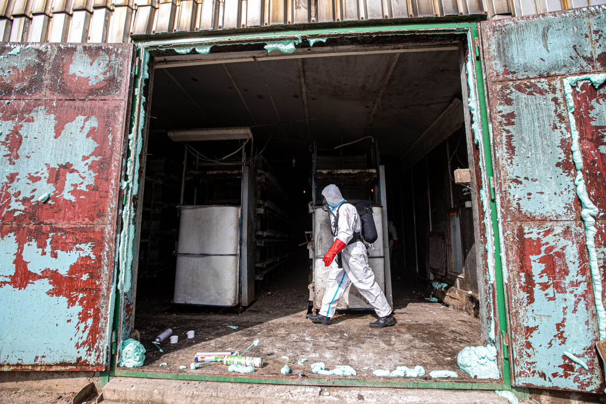 Ptačí chřipka_Kosičky (8).jpg