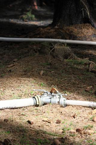 Resize of IMG_5242.JPG