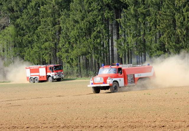 Resize of IMG_5287.JPG