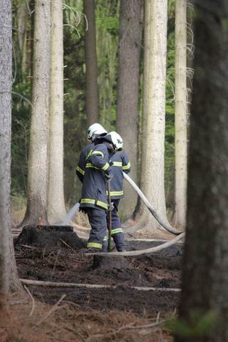 Resize of IMG_5306.JPG