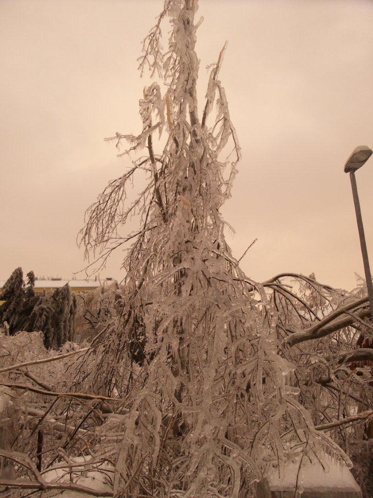 SlovinskomrazPostojna (13).jpg