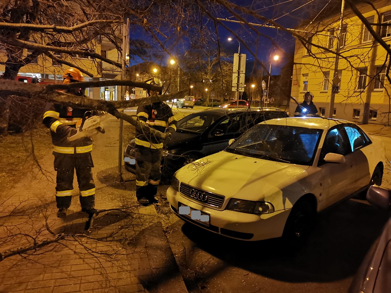 Spadané stromy, České Budějovice - 10 2. 2020 (4).jpg