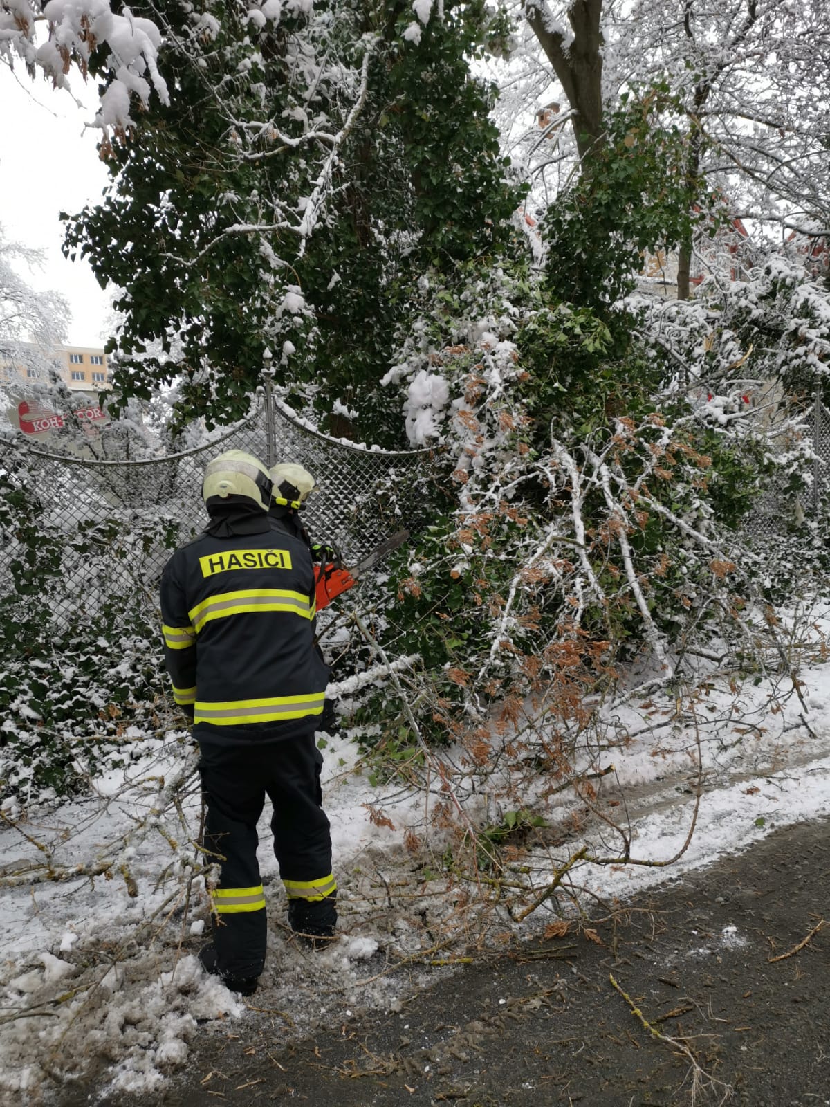 Spadané stromy, České Budějovice - 7. 1. 2021 (3).jpg