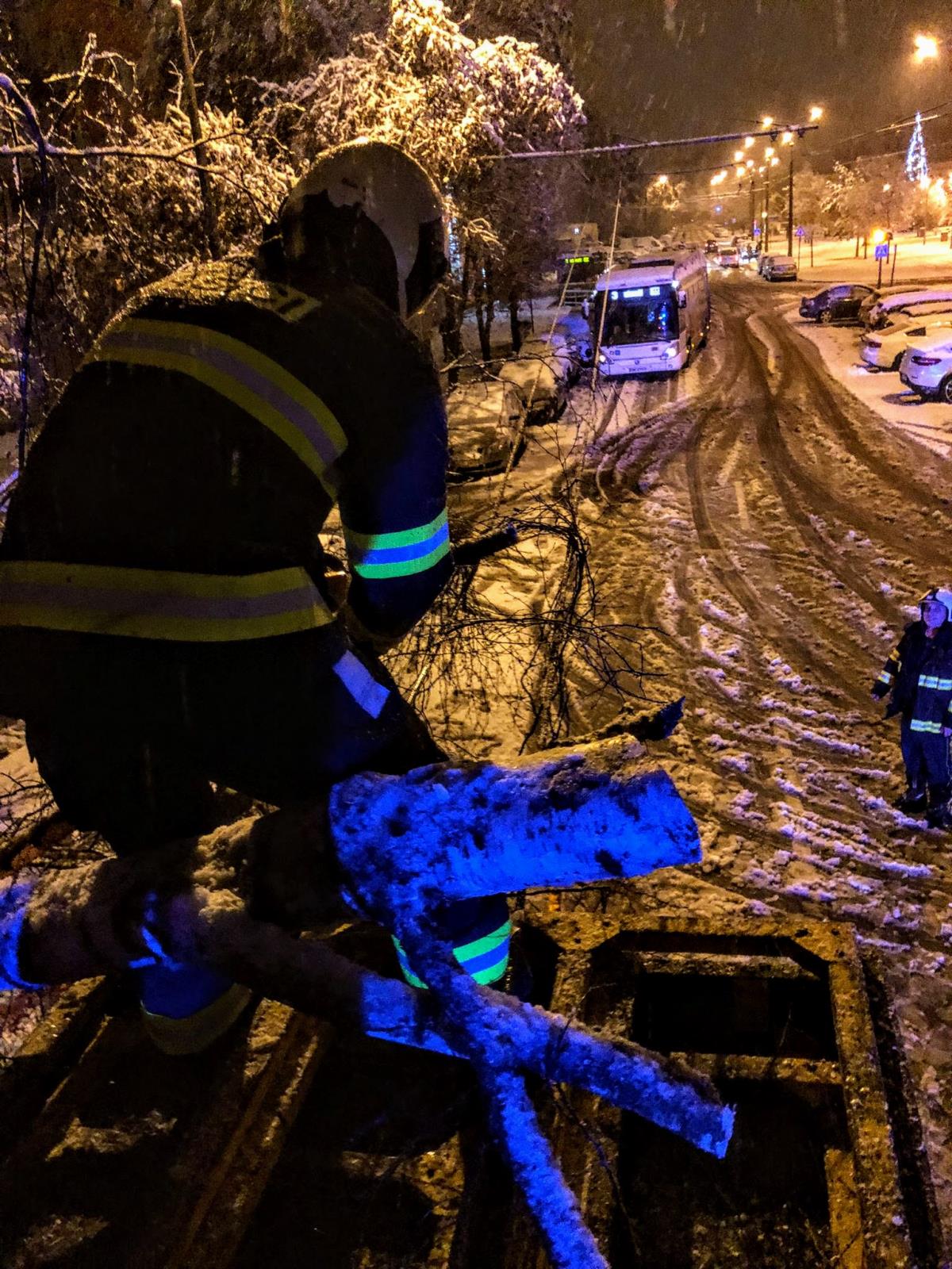 Spadlé stromy, České Budějovice - 6. 12. 2022 (6).jpg