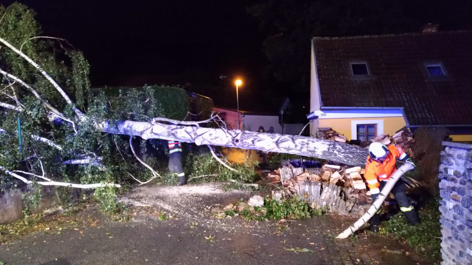 Spadlý strom, Týn nad Vltavou - 23. 9. 2018 (10).jpg