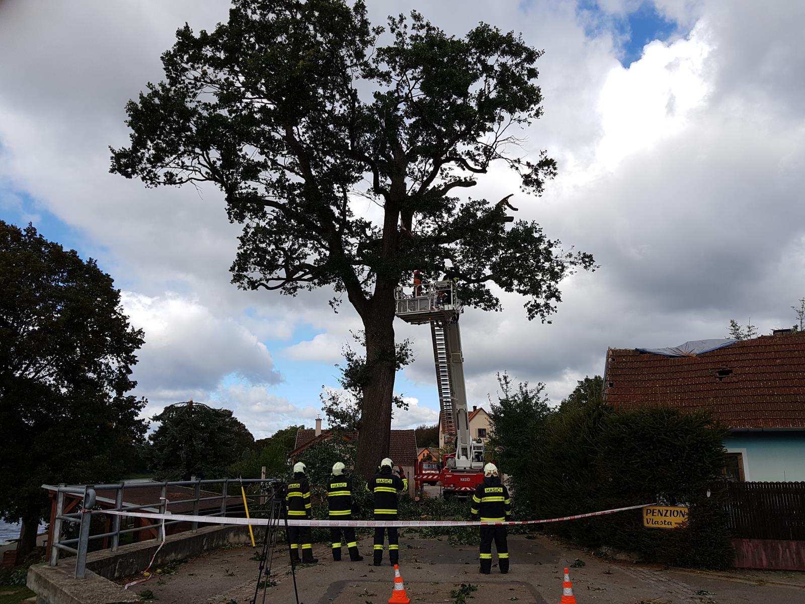 Spadlý strom, Týn nad Vltavou - 23. 9. 2018 (2).jpg