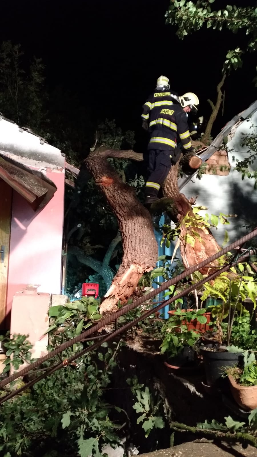 Spadlý strom, Týn nad Vltavou - 23. 9. 2018 (4).jpg